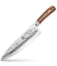 Damascus Chef Knife with VG10 Super Steel Core, Professional 67-layer Handmade