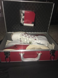 suitcase jordan 17s
