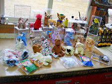 TY BEANIE BABY COLLECTION