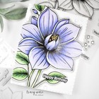 NEW - Stamptember 2025 - Ink on 3 - Bold & Beautiful - Stamp and Die Set — photo 3
