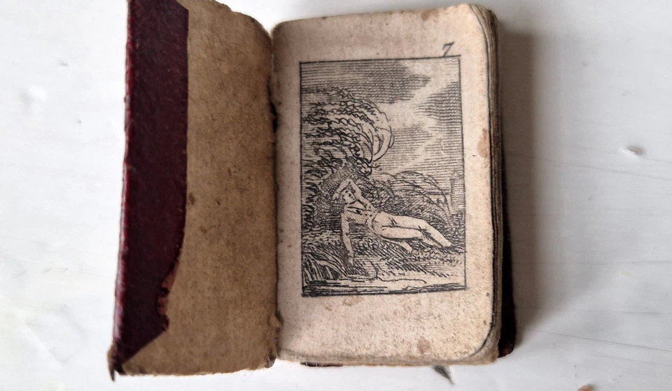 Rare French miniature Almanac 1836 'Les Fleurettes' illustrated, in gilt binding - Image 4 of 4