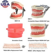 US Kilgore NISSIN 200/500 Type Dental Typodont Model Screw-in Removable Teeth