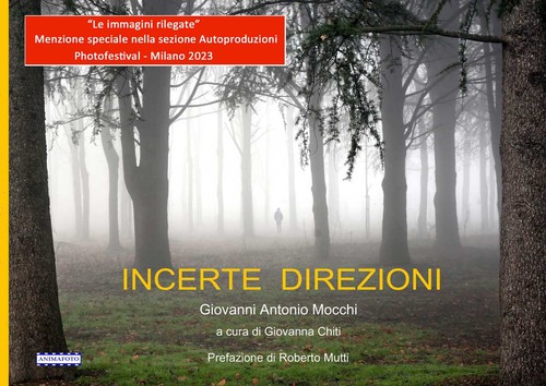 INCERTE DIREZIONI - Foto 1 di 4