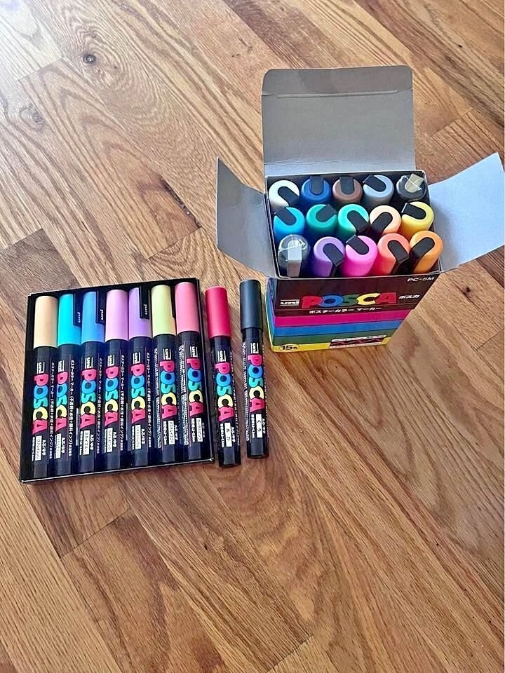 12 Colors Acrylic Paint Pens Markers Dual Tip Acrylic Paint Pens for Rock Paint