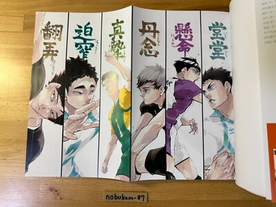 Haikyu 10th Chronicle Book (10th anniversary) Book | eBay