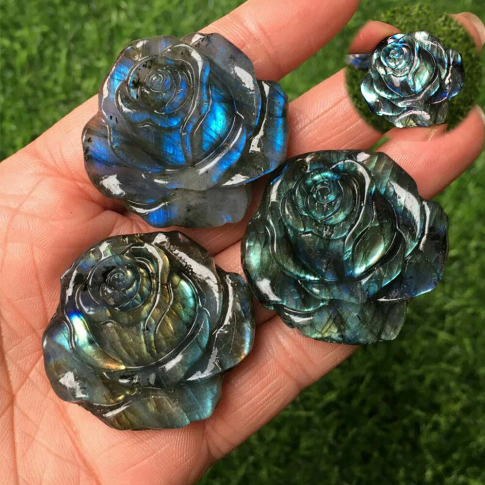 Types Of Naturally Blue Flowers
