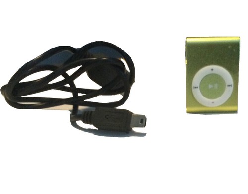 Innioasis Y1 MP3 Player - 128GB Orange- Brand New | eBay