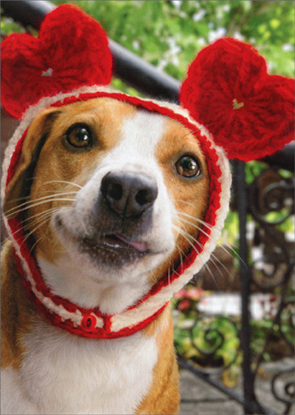 funny dog valentines