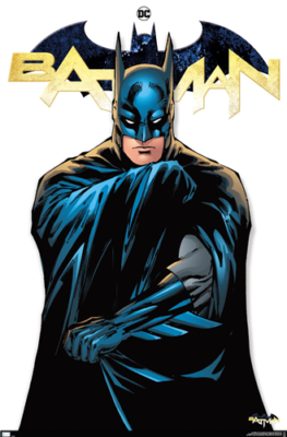 BATMAN - FEATURE SERIES POSTER - 22x34 - 23789 | eBay