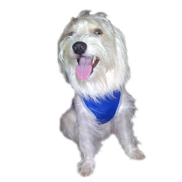 Adidog Pet Sports Dry Fit Singlet For Dog Single sports Mesh Dry Fit Puppy Outfi - Image 3 of 3