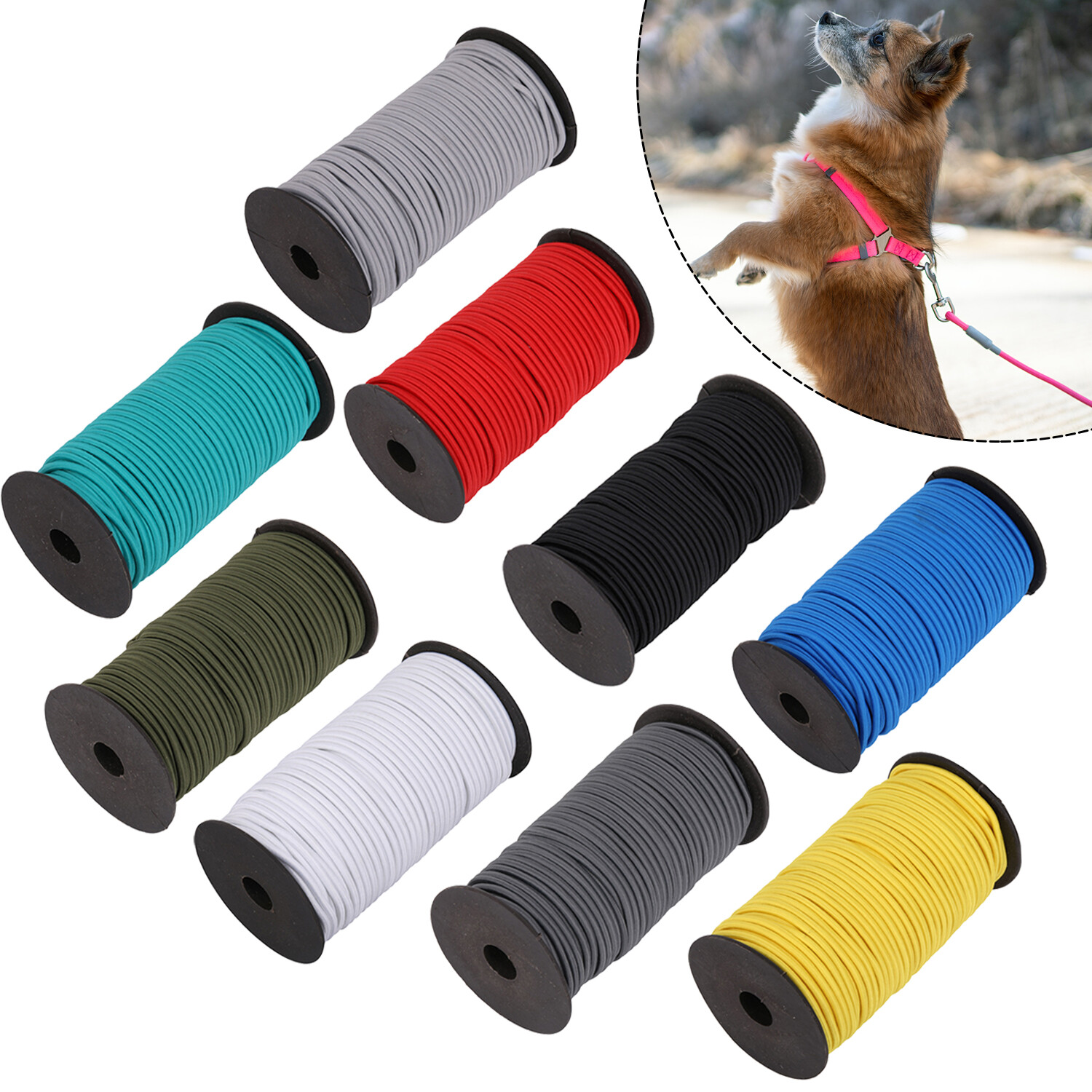 Cuerda Elástica Corbata Abajo Multicolor Varios Longitud Disponible