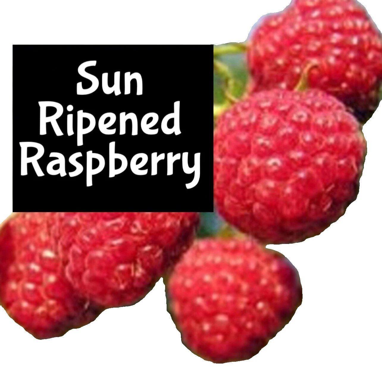 Raspberry Scent Body Sprays & Mists