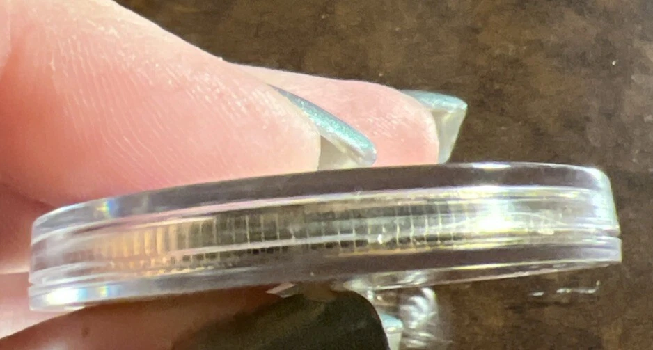 Moneda conmemorativa chapada en oro de Estados Unidos La Sirenita Foto 3 de 3