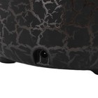 Foto 12 di 24