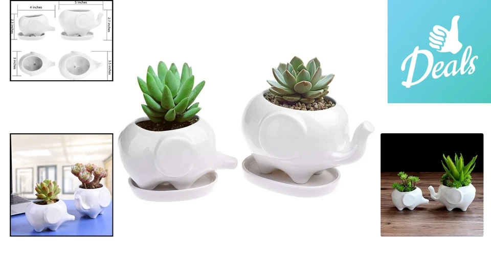 Набор из 2 игривых комнатных суккулентных контейнеров Elephant Design - Изображение 2 из 4