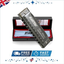 Silver Grey Diatonic Harmonica in C - Portable 10 Holes for All Skill Levels