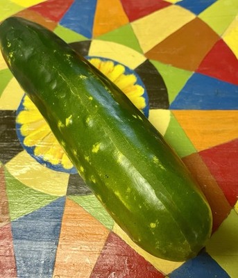 REALISTIC Artificial Vegetable Fake Food CUCUMBER Garden Produce Prop CUK-HRUBX