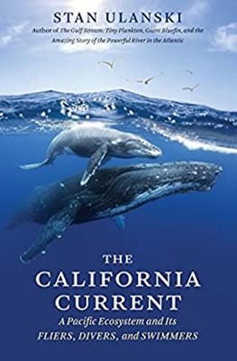 The California Current : A Pacific Ecosystem and Its Fliers, Dive