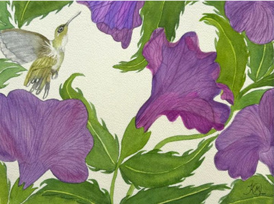 PAINTING WATERCOLOR 11X14 AND DOUBLE MAT 16X20 FLOWER PETUNIA PURPLE HUMMINGBIRD