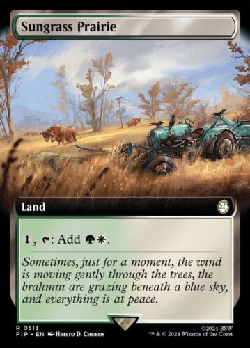 Sungrass Prairie Extended Art - PIP 0513 - NM - MTG Magic - Picture 1 of 1