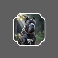 Cane Corso Sticker Waterproof Decal Dog Animal Pet Guard Protection Gift NEW