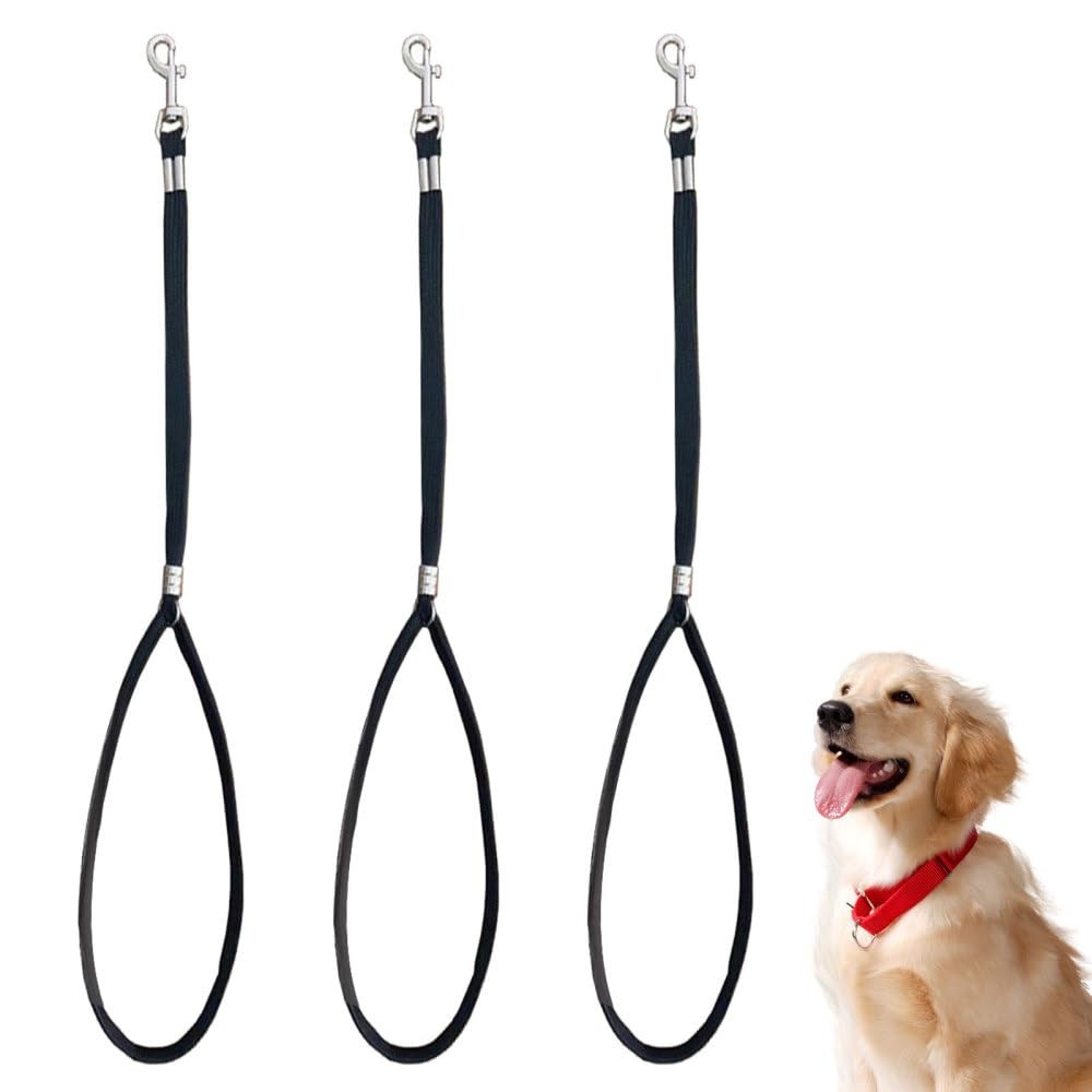 Cou de laisse de toilettage animaux - Corde de table de fixation réglable pour grand et petit chien