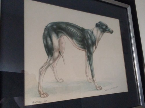 Impresión de arte de perro vintage "Frances 78" "Nuevo Soberano" ¿Gris? - Imagen 2 de 5