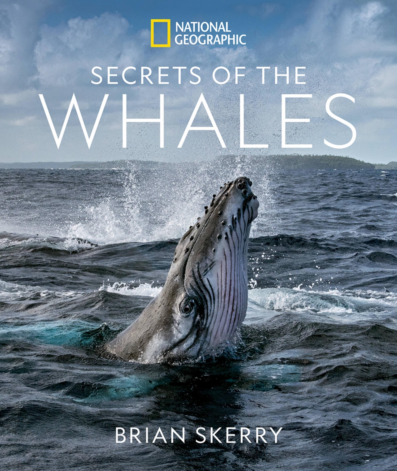 Thumbnail - Brian Skerry | Secrets Of The Whales | Buch | Englisch (2021) |