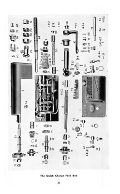 Colchester Mascot 8 1/2
