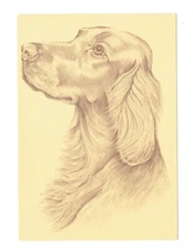 Vin Postcards Over-sized(1) Dog etching NO Card # Unposted. (#355)