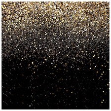 Black And Gold Glitter Backdrop For Photography Party Studio 8x8FT 11176