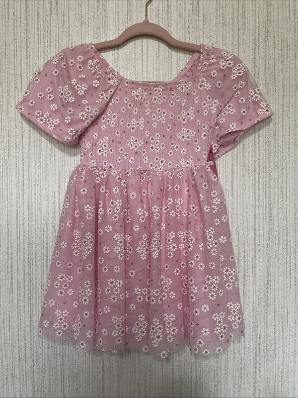 NWT Girls Size 5 Btween Pink Dress Floral Glitter