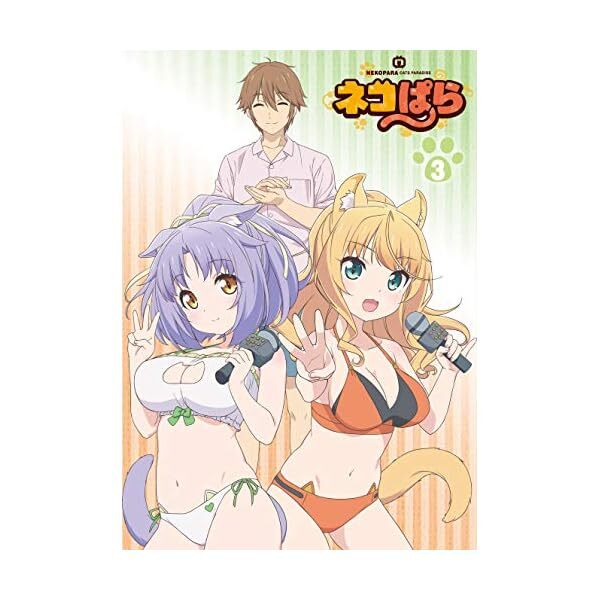 Nekopara Blu-ray Box Vol.3 Booklet Japan EYXA-12805 4562475298055 Official