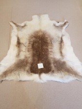 Reindeer Skin Rug Premium XL 53" X 53" . 135cm X 135cm Approx