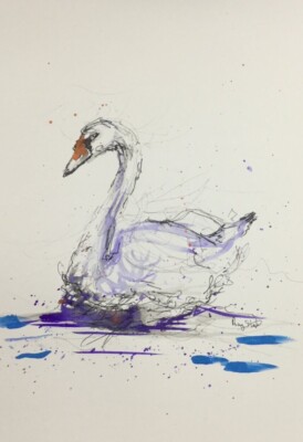 Original SWAN Ink Sketch (2024) - A4 - By Artist Ray Statter