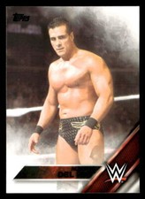 Alberto Del Rio 2016 Topps WWE Wrestling  Card #2