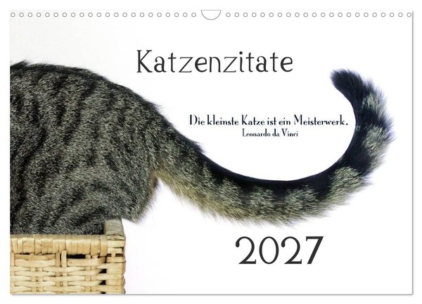 "Calendar 2027 · US Version · Katzenzity 2027 (Wall Calendar 2027 17\" × 12\" Lands"-image
