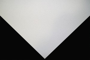 Ceiling Tiles And Grid Mineral Fiber Ceiling Tile Wholesale Trader From Gurgaon