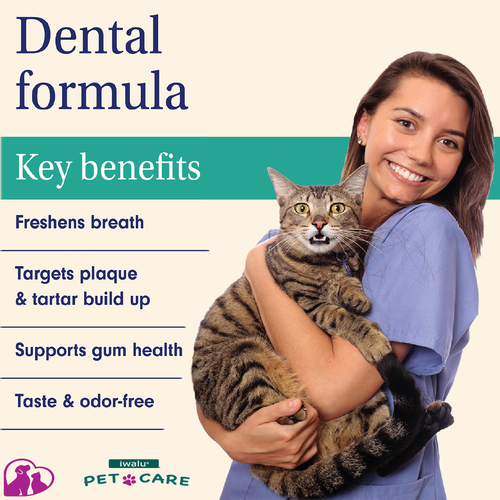 ORAL MEDICATION FOR SMALL DOGS - No Fuss Tooth Gums Care & Bad Breath Freshener - Picture 2 of 27