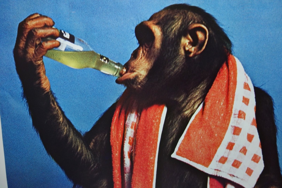【ほぼ新品】THE YELLOW MONKEY NAKED & RED TAPE ほぼ新品】THE YELLOW MONKEY NAKED & RED TAPE Amazon.co.jp