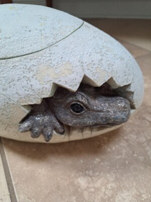  Artist  Made Baby Dinosaur Hatching Egg  Ooak Figurine Large W Lead.