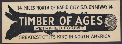 1930s Rushmore Cave Black Hills, Timber of Ages Petrified Forest Labels - #8189 - Picture 2 of 4