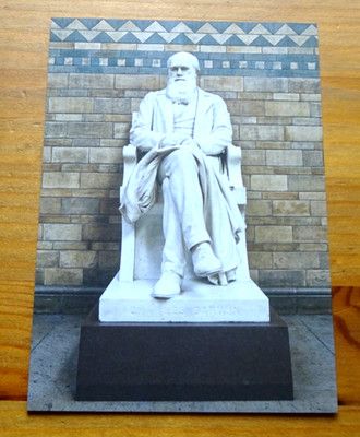 NATURGESCHICHTE MUSEUM POSTKARTE ~ MARMORSTATUE VON CHARLES DARWIN ENTHÜLLT 1885