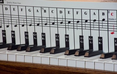 Piano Note Chart   Used Behind the Keys, Foam PVC Sheet, Visual Reference for...