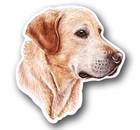 Yellow Labrador Retriever dog 4.6" Tall Sticker Decal Waterproof Vinyl