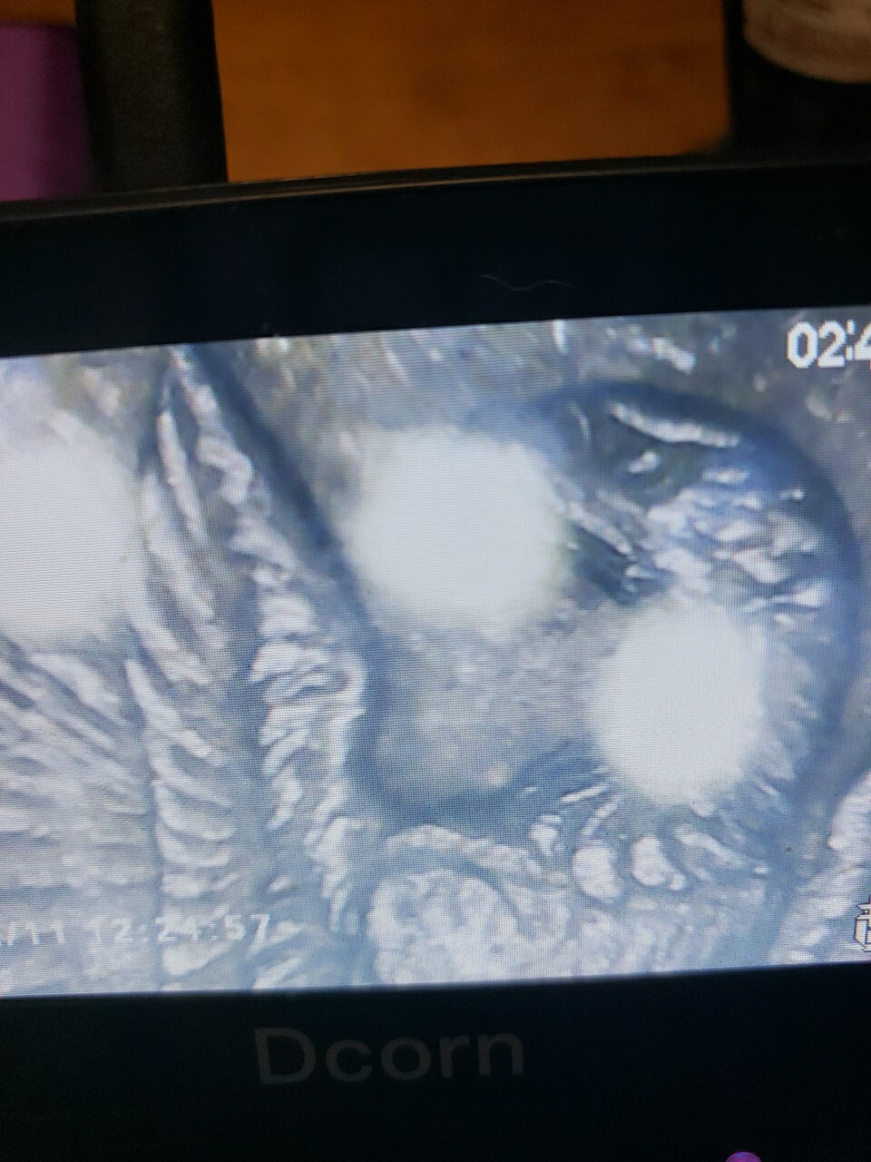 Picture 20 of 20