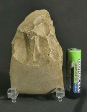 Stone Axe from Ancient Germany c. 2800-2400 BC Style