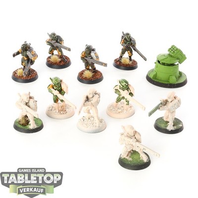 Tau Empire - 10 Fire Warriors Strike Team - teilweise bemalt