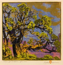 Gustave Baumann: Cedar Grand Canyon After Rain Archival Quality Fine Art Print