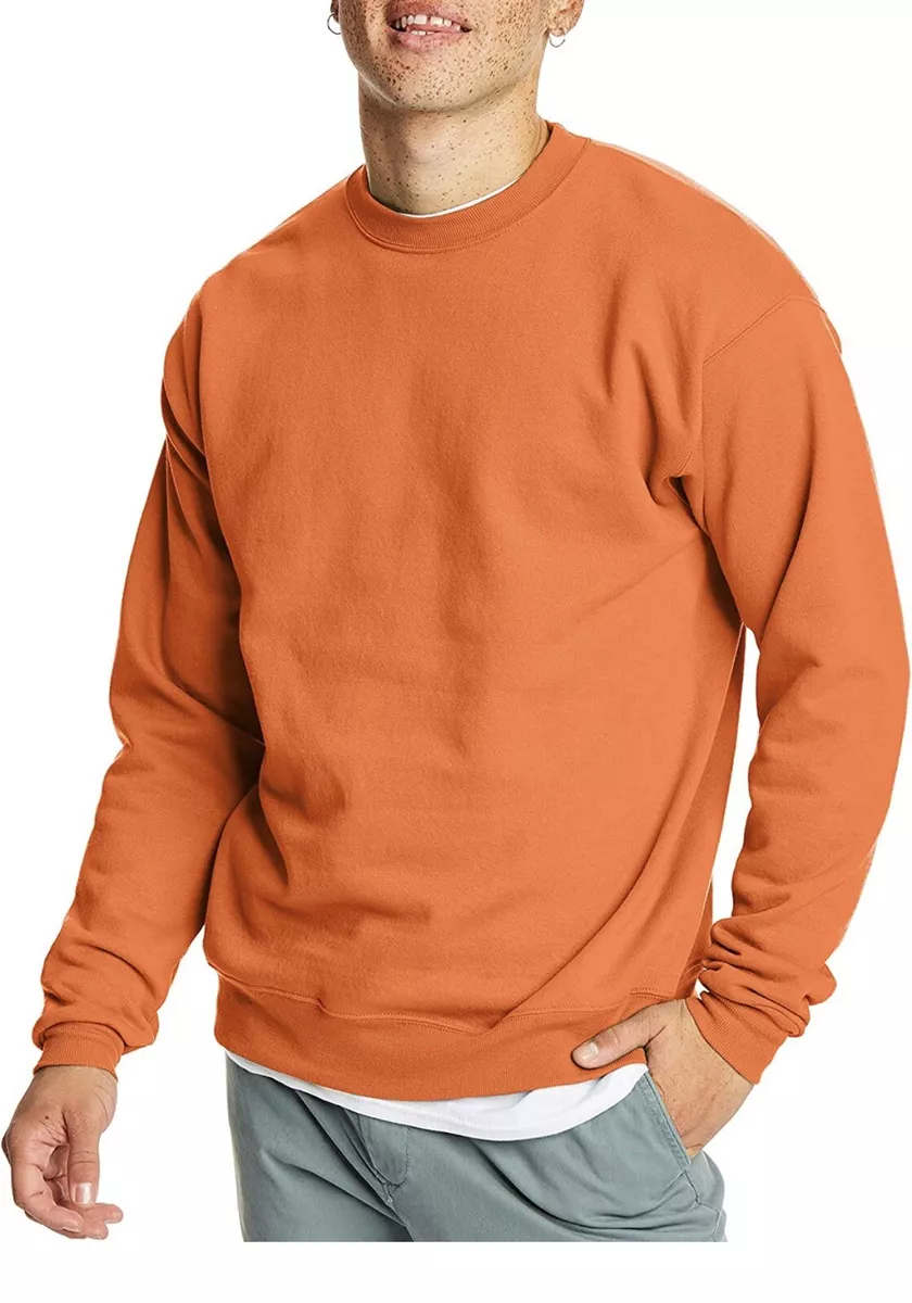 Hanes men's ecosmart shop fleece crew neck sweatshirt